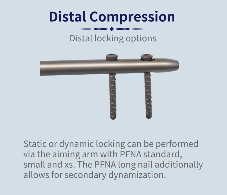 CE&ISO Certificated Orthopedic Surgical Implants Blade Screw for Pfna Intramedullary Nail Medical Implant Interlocking Nails